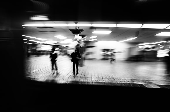 _R022295.jpg