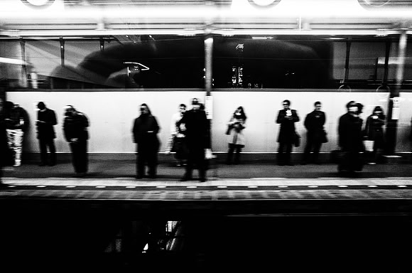 _R012195.jpg